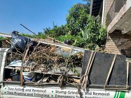 Best Property Management Cleanouts  in Centrevle, IL